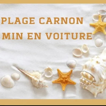 Le Petit Mediterraneen * Pérols